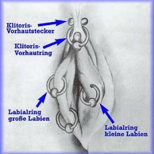 Klitorisvorhaur piercing vertikal